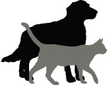 Dog and cat Dog and cat